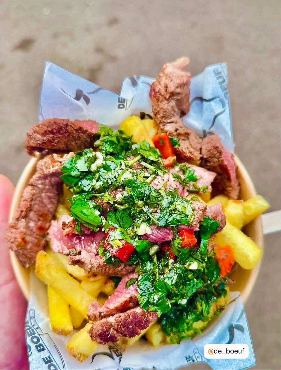 Steak and fries with chimichurri